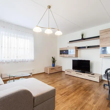 Center - Mardi St., Free Parking!!! Apartment
